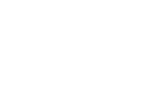 Brooklyn SciFi Film Festival winner laurel